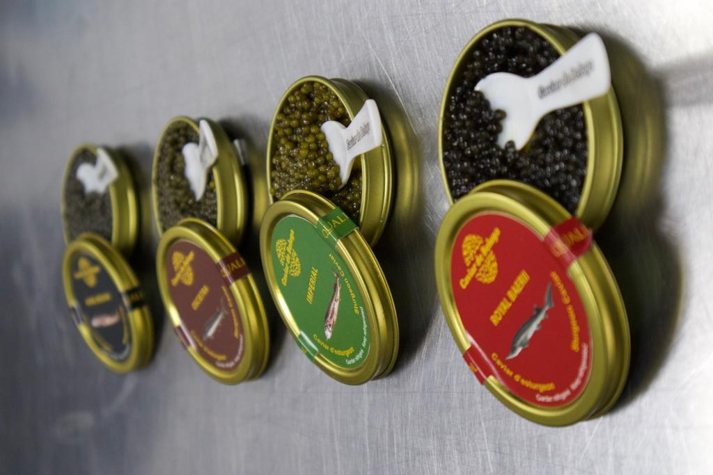 Caviar de Beluga sortiment