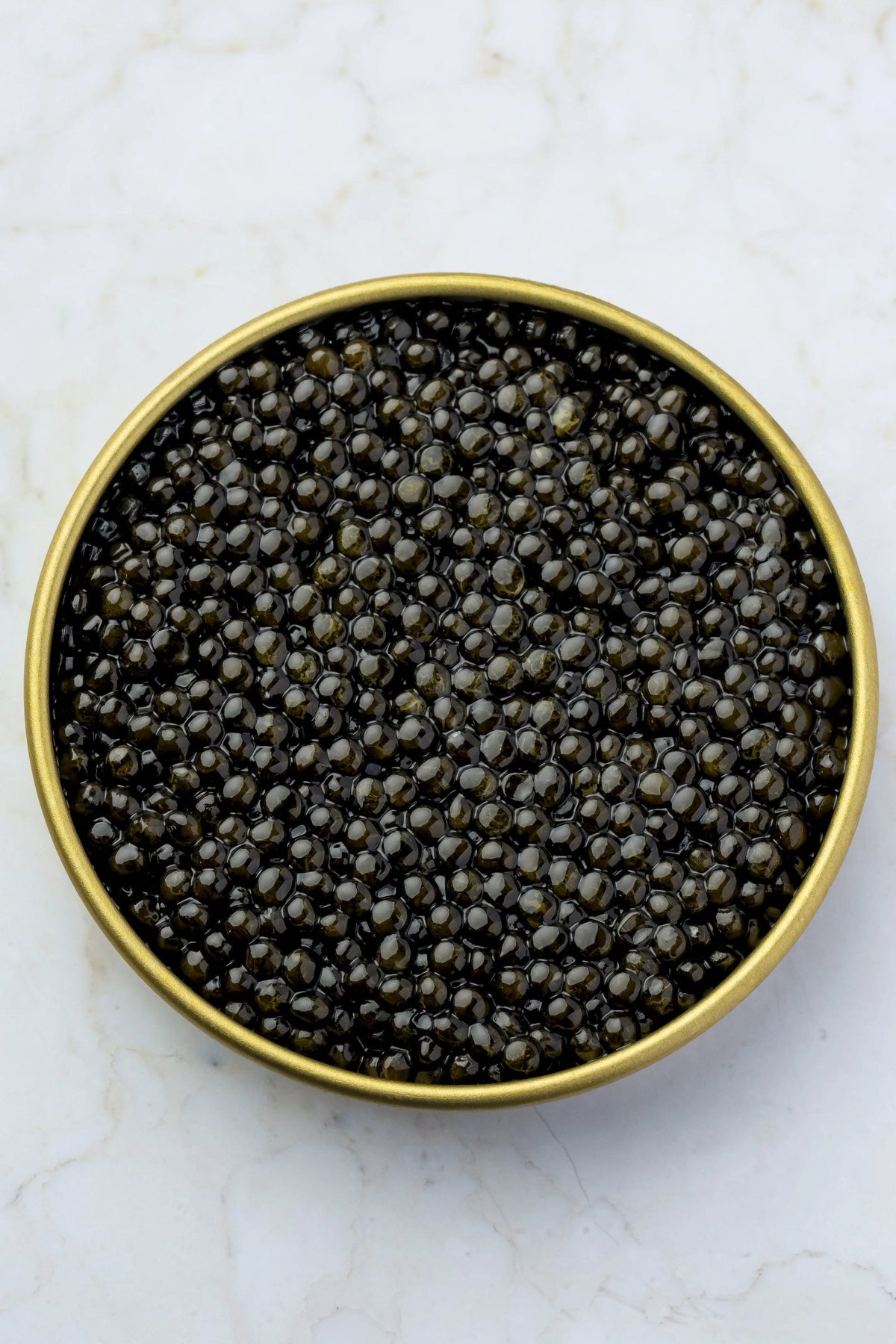 Royal Baerii
