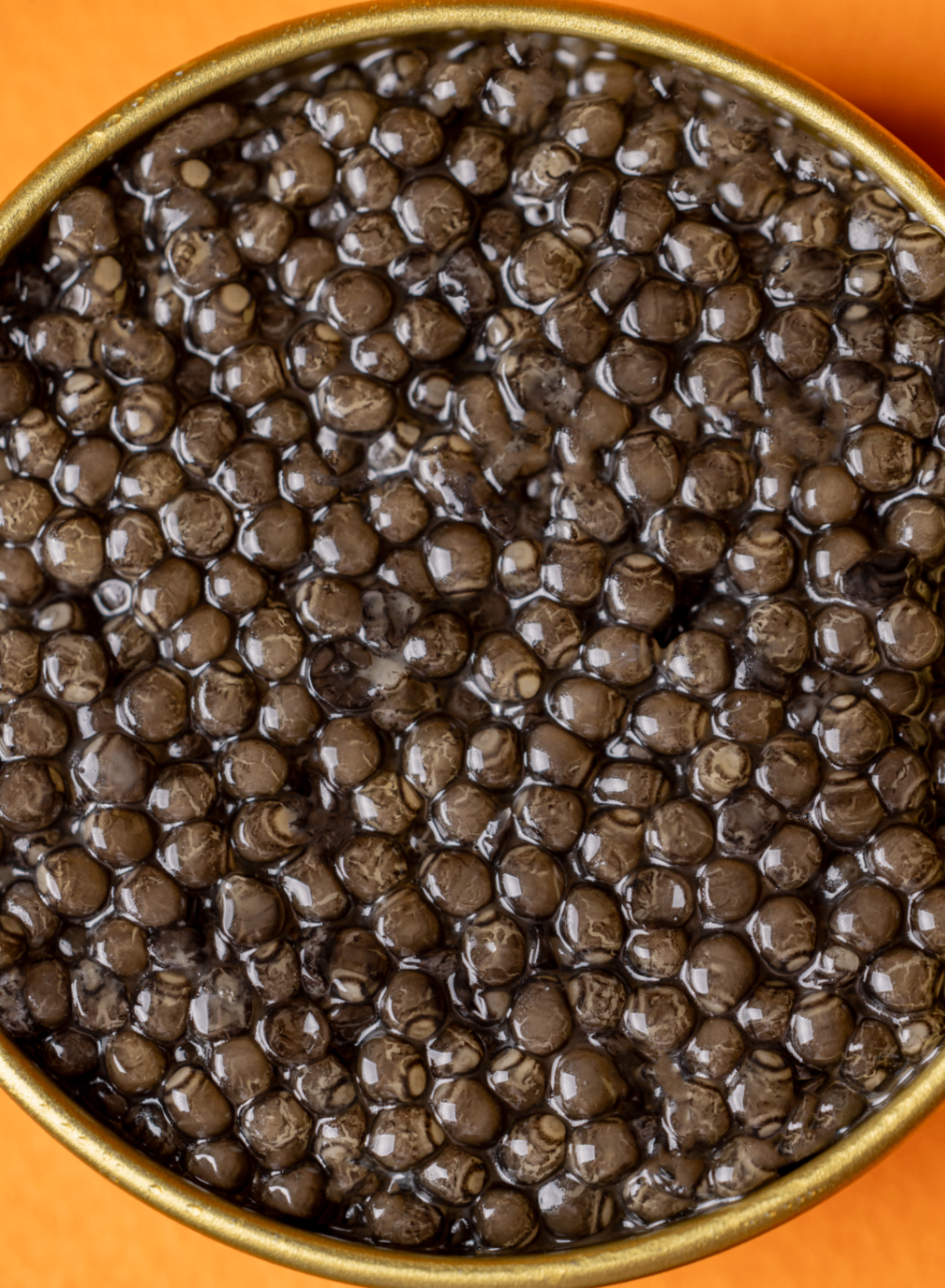 Royal Beluga caviar — stora mörka pärlor från Huso huso-stör